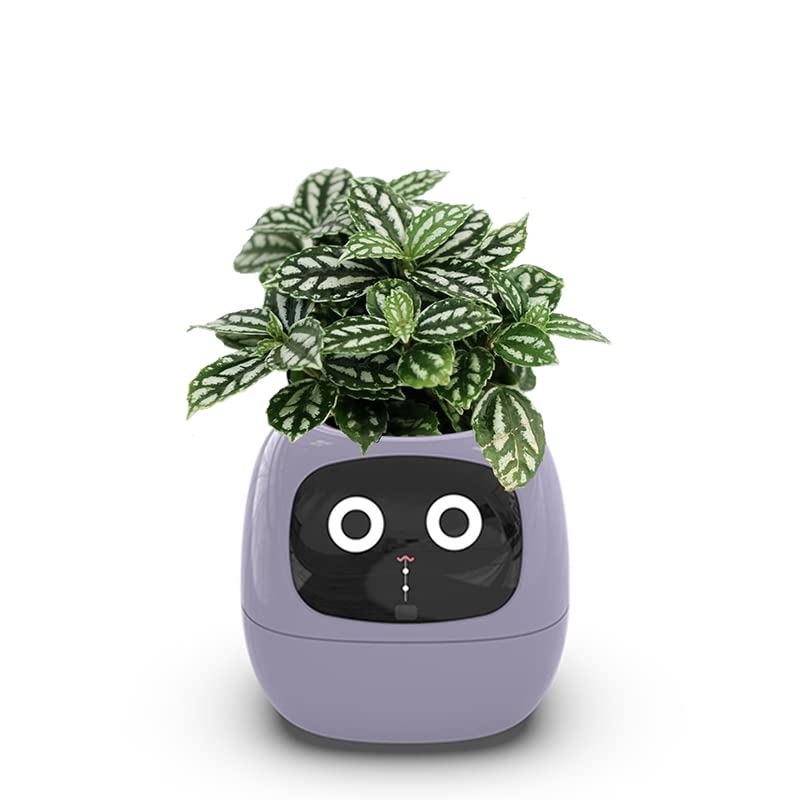 🥇Smart Flowerpots,Smart Pet Planter,Ai Planter,Intelligent Flowerpots,Multiple Expressions,7 Smart Sensors, and Ai Chips Make Raising Plants Easy and Fun for Living Room,Plant-Free
